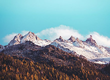 178足球在线观看免费-巴黎圣日耳曼2-2总比分5-4淘汰十人摩纳哥 晋级16强